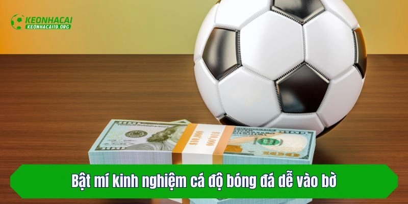 Bật mí kinh nghiệm cá độ bóng đá dễ vào bờ