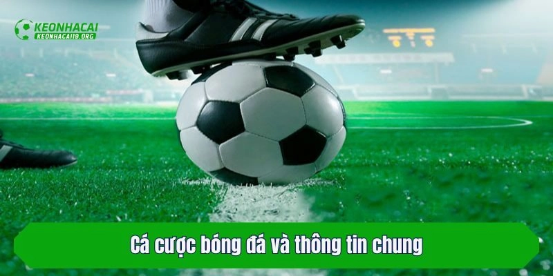 Cá cược bóng đá và thông tin chung