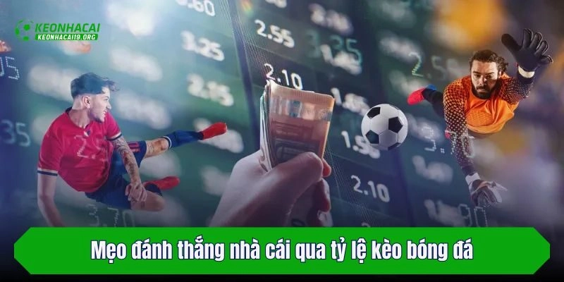 Mẹo đánh thắng nhà cái qua tỷ lệ kèo bóng đá