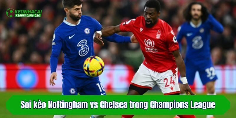 Soi kèo Nottingham vs Chelsea trong Champions League