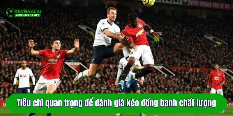Tiêu chí quan trọng để đánh giá kèo đồng banh chất lượng
