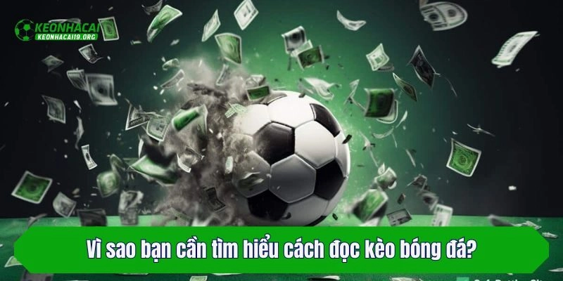Vì sao bạn cần tìm hiểu cách đọc kèo bóng đá?