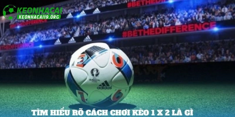 Kinh nghiệm cá cược kèo 1x2 dễ thắng lớn