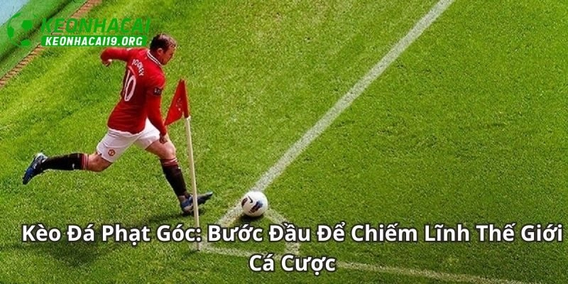 Kèo Phạt Góc Là Gì? Bí Kíp Dự Đoán Chuẩn Xác Cho Tân Thủ