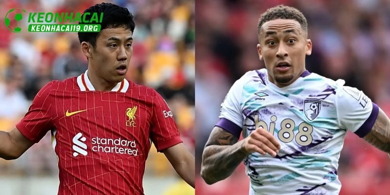 Soi Kèo Liverpool Bournemouth Ngày 16/8: Liệu Ai Là Nhà Vua